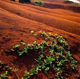 3DM速报： Steam周销《严阵以待》三连冠，“老头环”捏脸超自由